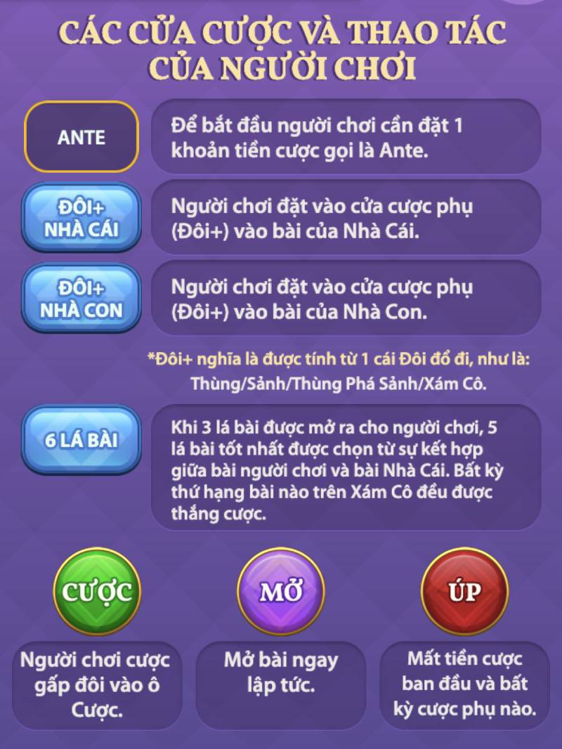 Cách Đặt Cược Trong Teen Patti